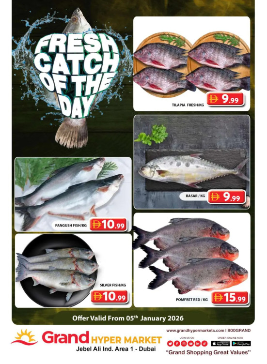 Catch of The Day - Grand Hypermarket Jebel Ali