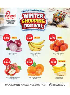 WINTER SHOPPING FESTIVAL