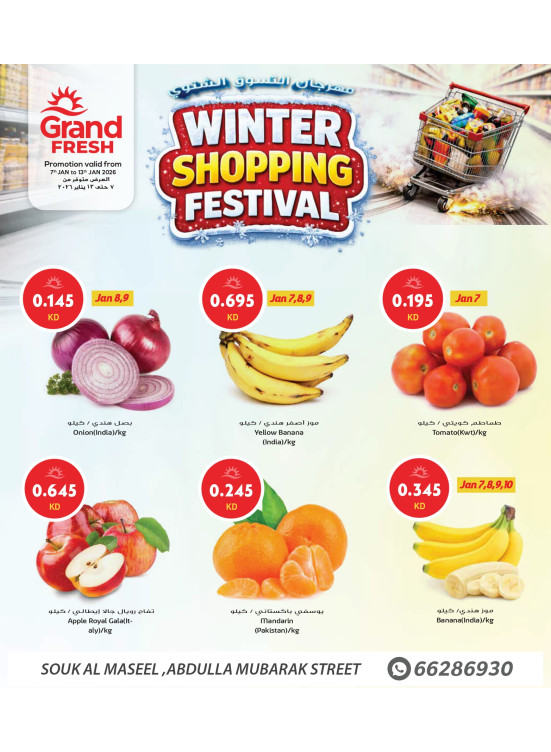 WINTER SHOPPING FESTIVAL
