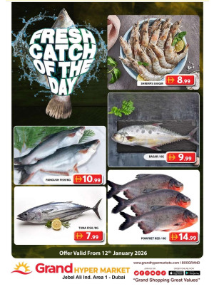 Catch of The Day - Grand Hypermarket Jebel Ali
