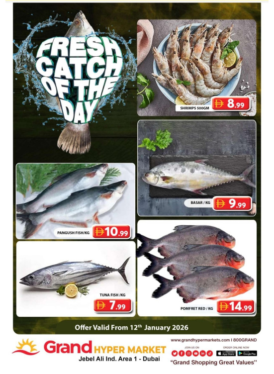 Catch of The Day - Grand Hypermarket Jebel Ali
