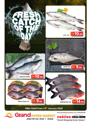Catch of The Day - Grand Hypermarket Jebel Ali