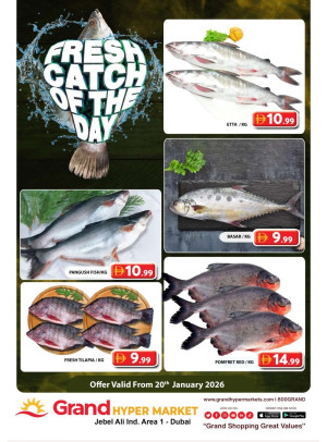 Catch of The Day - Grand Hypermarket Jebel Ali