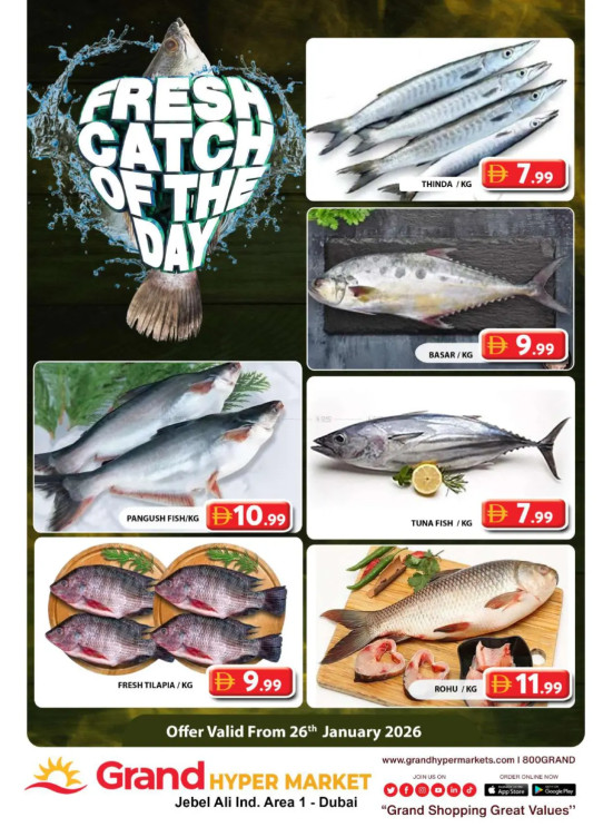 Catch of The Day - Grand Hypermarket Jebel Ali