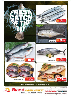 Catch of The Day - Grand Hypermarket Jebel Ali