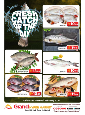 Catch of The Day - Grand Hypermarket Jebel Ali