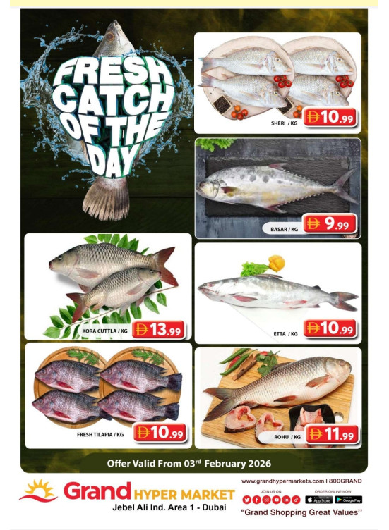 Catch of The Day - Grand Hypermarket Jebel Ali