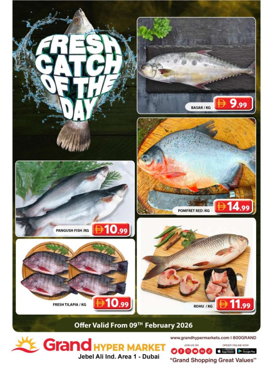 Catch of The Day - Grand Hypermarket Jebel Ali