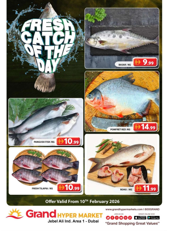 Catch of The Day - Grand Hypermarket Jebel Ali