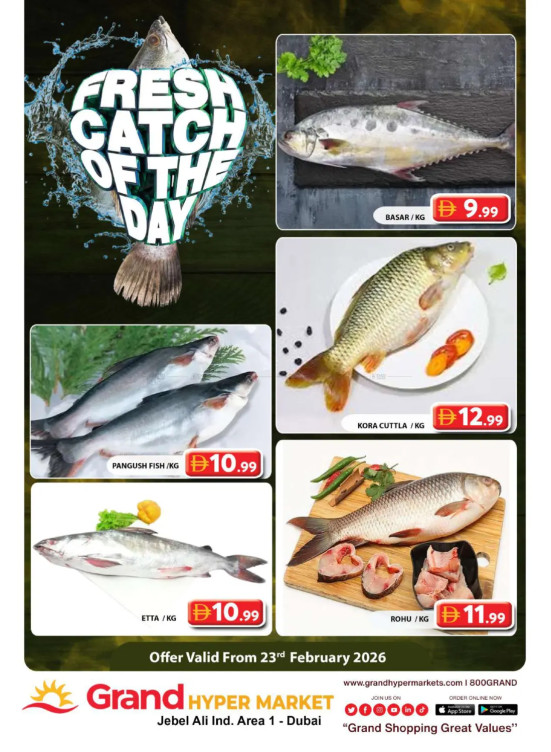 Catch of The Day - Grand Hypermarket Jebel Ali