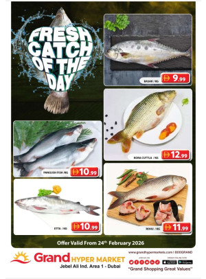 Catch of The Day - Grand Hypermarket Jebel Ali