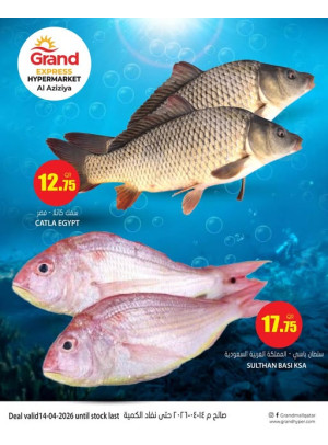 Fish Deal - Aziziyah