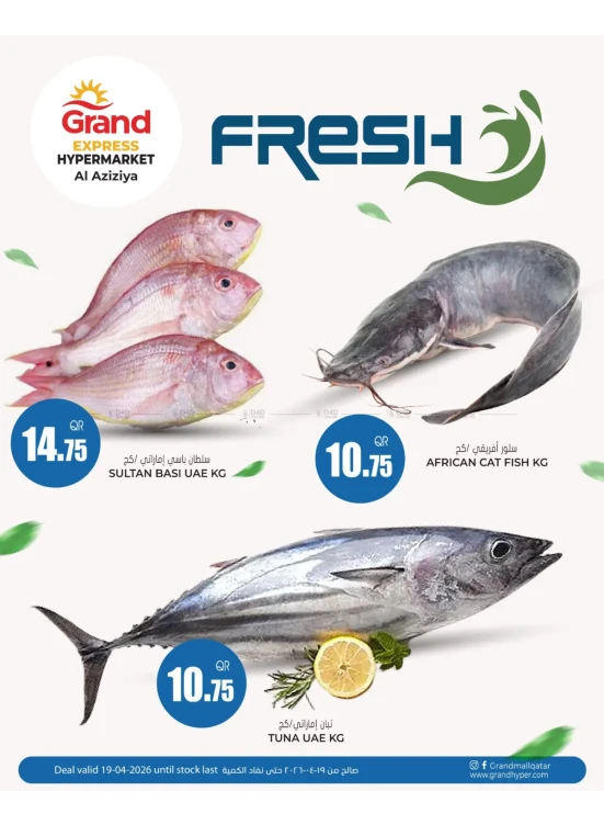Fish Deal - Aziziyah