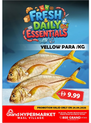 Fresh & Daily Essentials - Wasl Village, Dubai