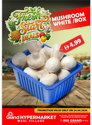 Fresh Start Deals - Wasl Village, Dubai