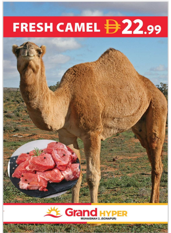 Fresh Camel - Grand Hyper Muhaisnah