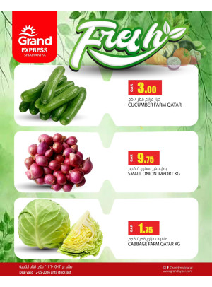 Fresh Deal - Shahaniya