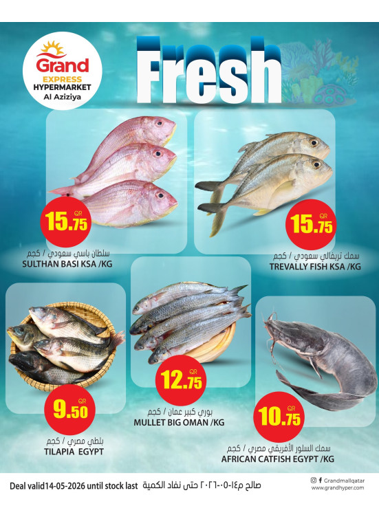 Fresh Deal - Aziziyah