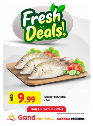 Fresh Deals - Grand Mini Mall