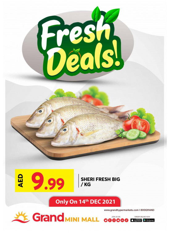 Fresh Deals - Grand Mini Mall
