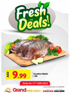 Fresh Deals - Grand Mini Mall