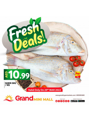 Fresh Deals - Grand Mini Mall