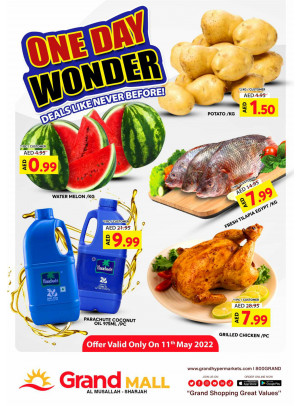 One Day Wonder - Grand Mall Sharjah