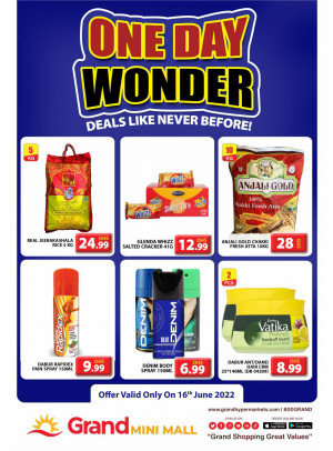 One Day Wonder - Grand Mini Mall
