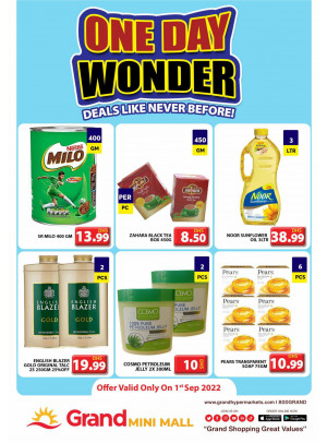 One Day Wonder - Grand Mini Mall