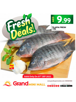 Fresh Deals - Grand Mini Mall