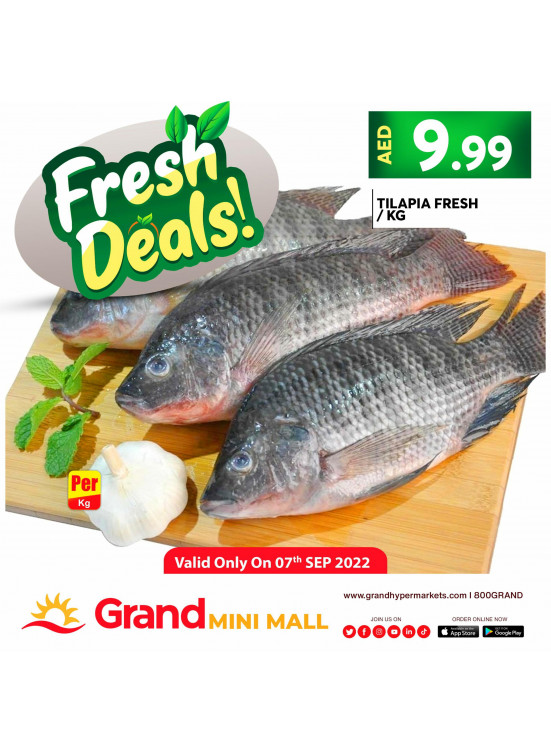 Fresh Deals - Grand Mini Mall