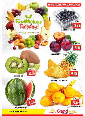 Fruitilicious Tuesday - Grand Mall Sharjah