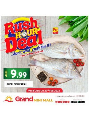 Hourly Deals - Grand Mini Mall