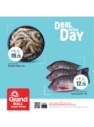 Deal of The Day - Grand Mall, Asian Town