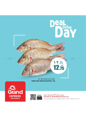 Deal of The Day - Grand Express Shahaniya