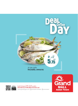 Deal of The Day - Grand Mall, Asian Town