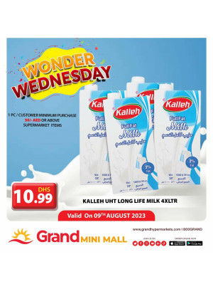 Wonder Wednesday - Grand Mini Mall