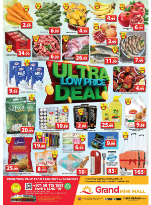 Ultra Low Price Deal - Grand Mini Mall