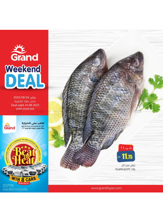 Deal of The Day