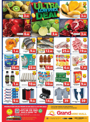 Ultra Low Price Deal - Grand Mini Mall