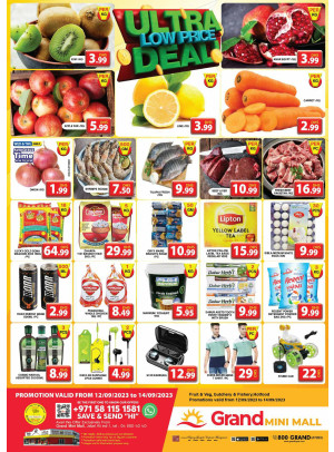 Ultra Low Price Deal - Grand Mini Mall