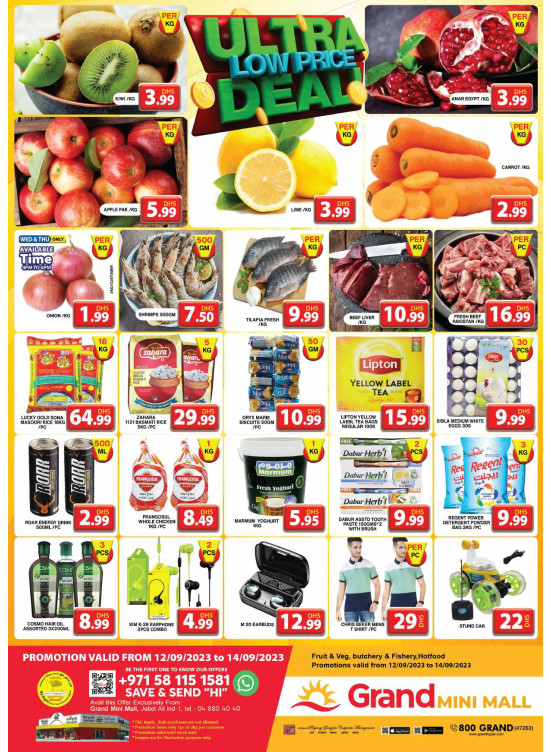 Ultra Low Price Deal - Grand Mini Mall