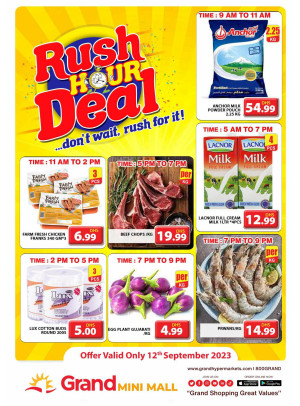 Big Sale - Grand Mini Mall