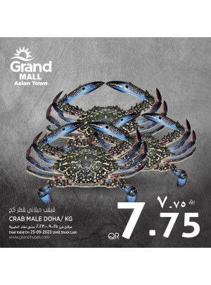 Deal of The Day - Grand Mall, Asian Town