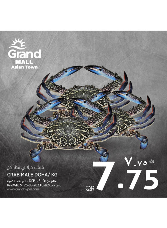 Deal of The Day - Grand Mall, Asian Town