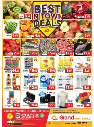 Ultra Low Price Deal - Grand Mini Mall