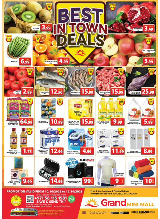 Ultra Low Price Deal - Grand Mini Mall