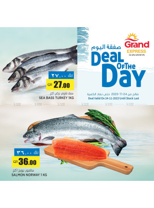 Deal of The Day - Shahaniya