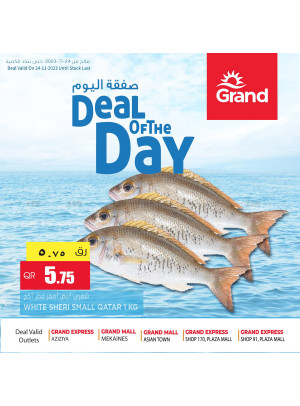 Deal of The Day