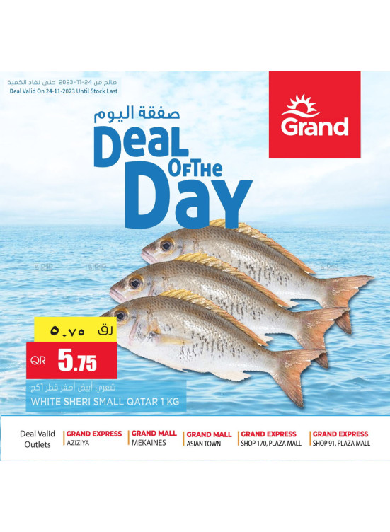 Deal of The Day